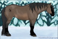Horse Color:Void Brown Dun Sabino Splash 