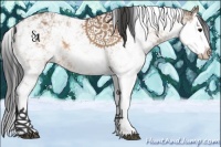 Horse Color:Bay Dun Sabino Splash 