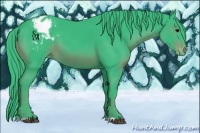 Horse Color:Watercolor Black Appaloosa 