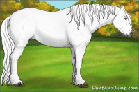 Horse Color:Gray Chocolate Palomino Ice 