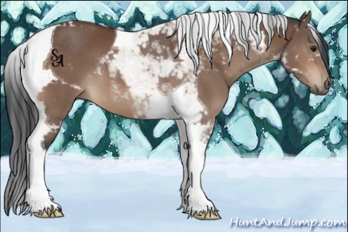 Horse Color:Brown Tobiano