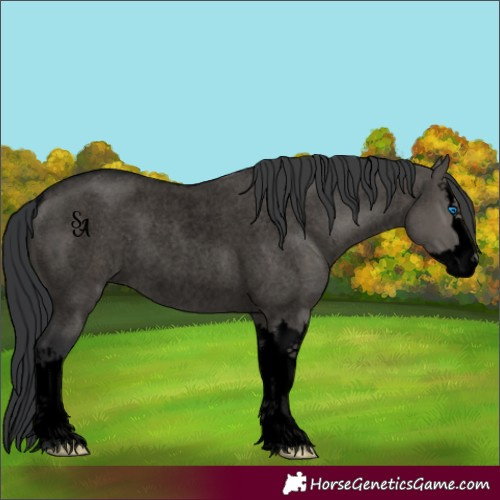 Horse Color:Void Grullo Roan Sabino Splash Rabicano 