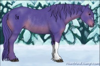 Horse Color:Watercolor Black Rabicano 