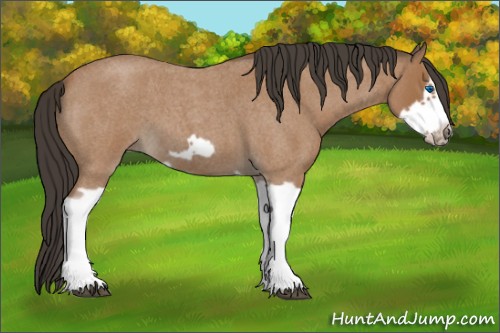 Horse Color:Bay Roan Splash Frame