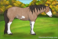 Horse Color:Bay Roan Splash Frame 