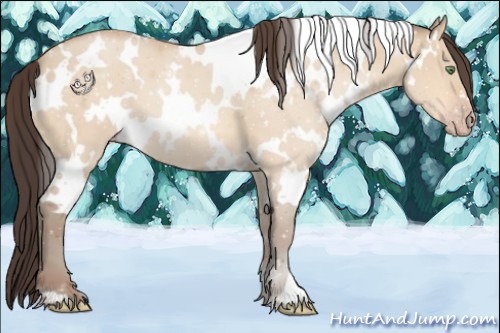 Horse Color:White Spotted Amber Champagne Dun 