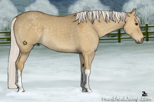 Horse Color:Silver Smoky Grullo Tobiano 