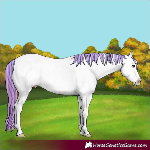 Horse Color:Painted Buckskin Dun Splash Snowcap