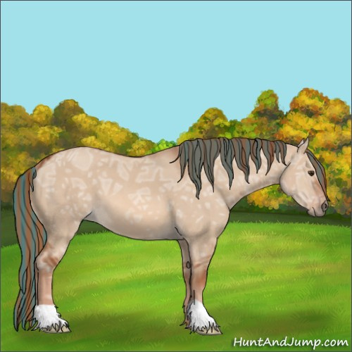 Horse Color:Painted Red Dun Ice