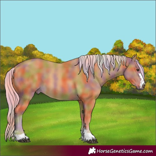 Horse Color:Nacre Palomino 