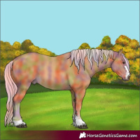 Horse Color:Nacre Palomino 