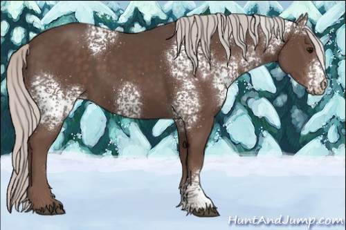 Horse Color:White Spotted Silver Black 
