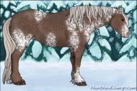 Horse Color:White Spotted Silver Black 