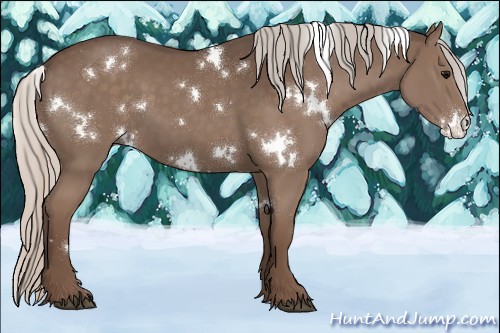Horse Color:White Spotted Silver Black 