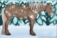 Horse Color:White Spotted Silver Black 