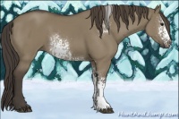 Horse Color:White Spotted Smoky Grullo 