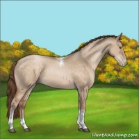 Horse Color:Brown Pearl Dun Tobiano Rabicano 
