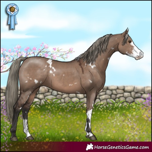 Horse Color:White Spotted Liver Red Dun Mushroom Sabino 