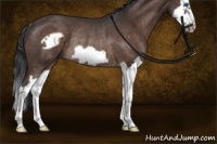Horse Color:Brown Roan Splash Frame Rabicano 