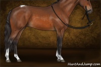 Horse Color:Buckskin Tobiano 