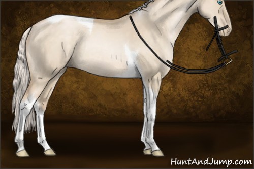 Horse Color:Silver Buckskin Pearl Dun Tobiano Rabicano 