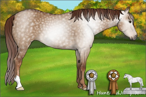 Horse Color:Gray Red Dun