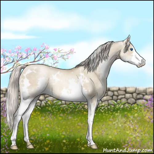 Horse Color:White Spotted Chocolate Palomino Pearl Dun Splash 