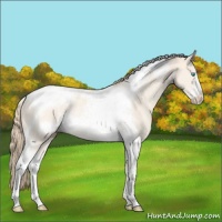 Horse Color:Perlino Tobiano Frame Rabicano 