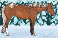 Horse Color:Silver Bay Snowcap