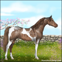 Horse Color:Liver Red Dun Tobiano Brindle 