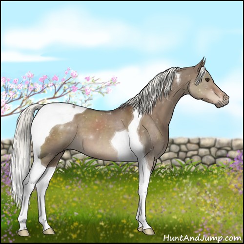 Horse Color:Liver Red Dun Mushroom Tobiano 