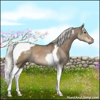 Horse Color:Liver Red Dun Mushroom Tobiano