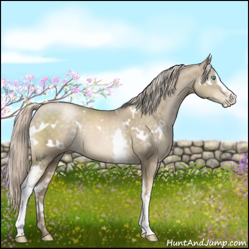 Horse Color:White Spotted Chocolate Palomino Pearl Mushroom 