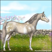 Horse Color:White Spotted Chocolate Palomino Pearl Mushroom 
