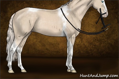 Horse Color:Cremello Splash Tobiano Rabicano 