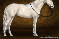 Horse Color:Cremello Dun Splash Tobiano Rabicano 