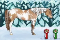 Horse Color:White Spotted Bay Pearl 