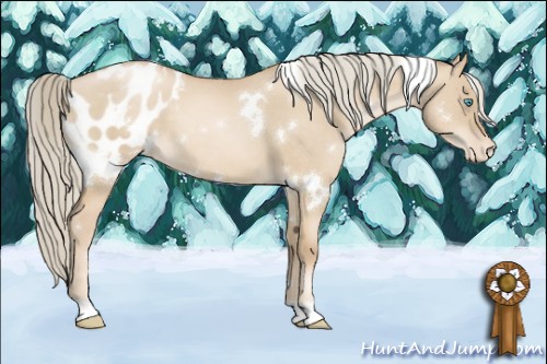 Horse Color:White Spotted Chocolate Palomino Pearl Dun Appaloosa