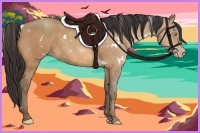 Horse Color:White Spotted Amber Champagne 