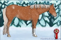 Horse Color:Silver Bay Appaloosa 