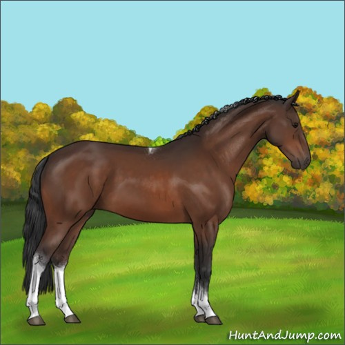 Horse Color:Bay Tobiano Rabicano 