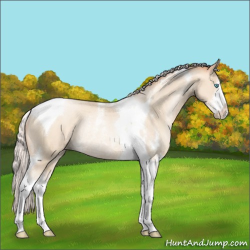 Horse Color:Silver Sable Cream Champagne Pearl Sabino Tobiano Rabicano 