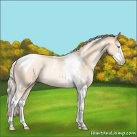 Horse Color:Silver Sable Cream Champagne Pearl Sabino Tobiano Rabicano 