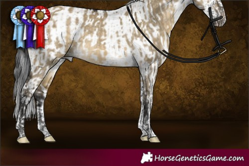 Horse Color:Buckskin Dun Sabino Tobiano Rabicano  and Brown Roan Tobiano Frame Rabicano 