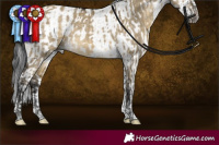 Horse Color:Buckskin Dun Sabino Tobiano Rabicano and Brown Roan Tobiano Frame Rabicano