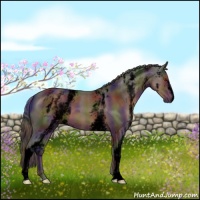 Horse Color:Void Nacre White Spotted Liver Chestnut 