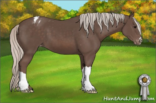 Horse Color:Silver Black Appaloosa 