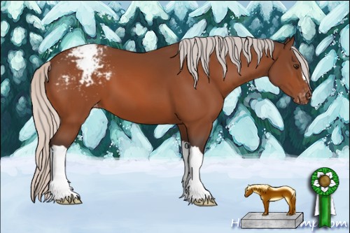 Horse Color:Silver Brown Appaloosa 