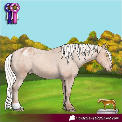 Horse Color:Silver Sable Champagne Varnish 