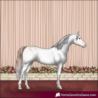 Horse Color:Bay Roan Dun Sabino Varnish 